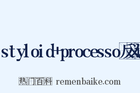 styloid+processo反义词是什么意思的图片